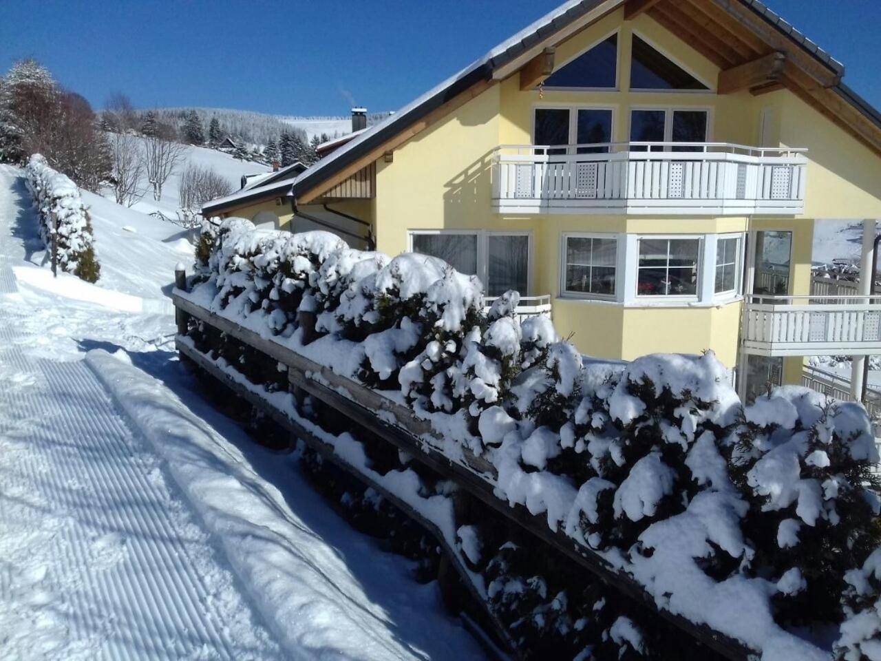 "Schwarzwaldblick" Ferienwohnung 2-4 Pers 65Qm, Schoene Ruhige Suedhanglage Mit Herrl Aussicht Todtnau Eksteriør bilde
