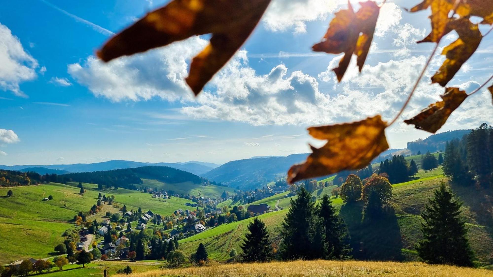 "Schwarzwaldblick" Ferienwohnung 2-4 Pers 65Qm, Schoene Ruhige Suedhanglage Mit Herrl Aussicht Todtnau Eksteriør bilde