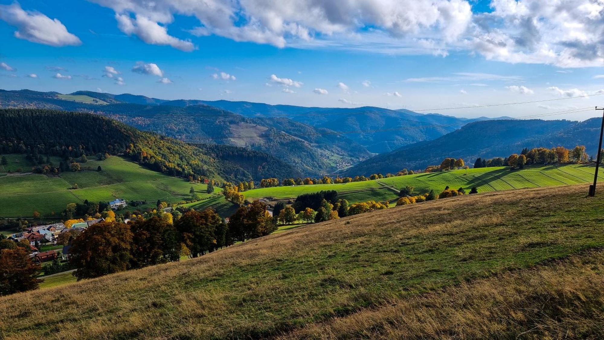 "Schwarzwaldblick" Ferienwohnung 2-4 Pers 65Qm, Schoene Ruhige Suedhanglage Mit Herrl Aussicht Todtnau Eksteriør bilde
